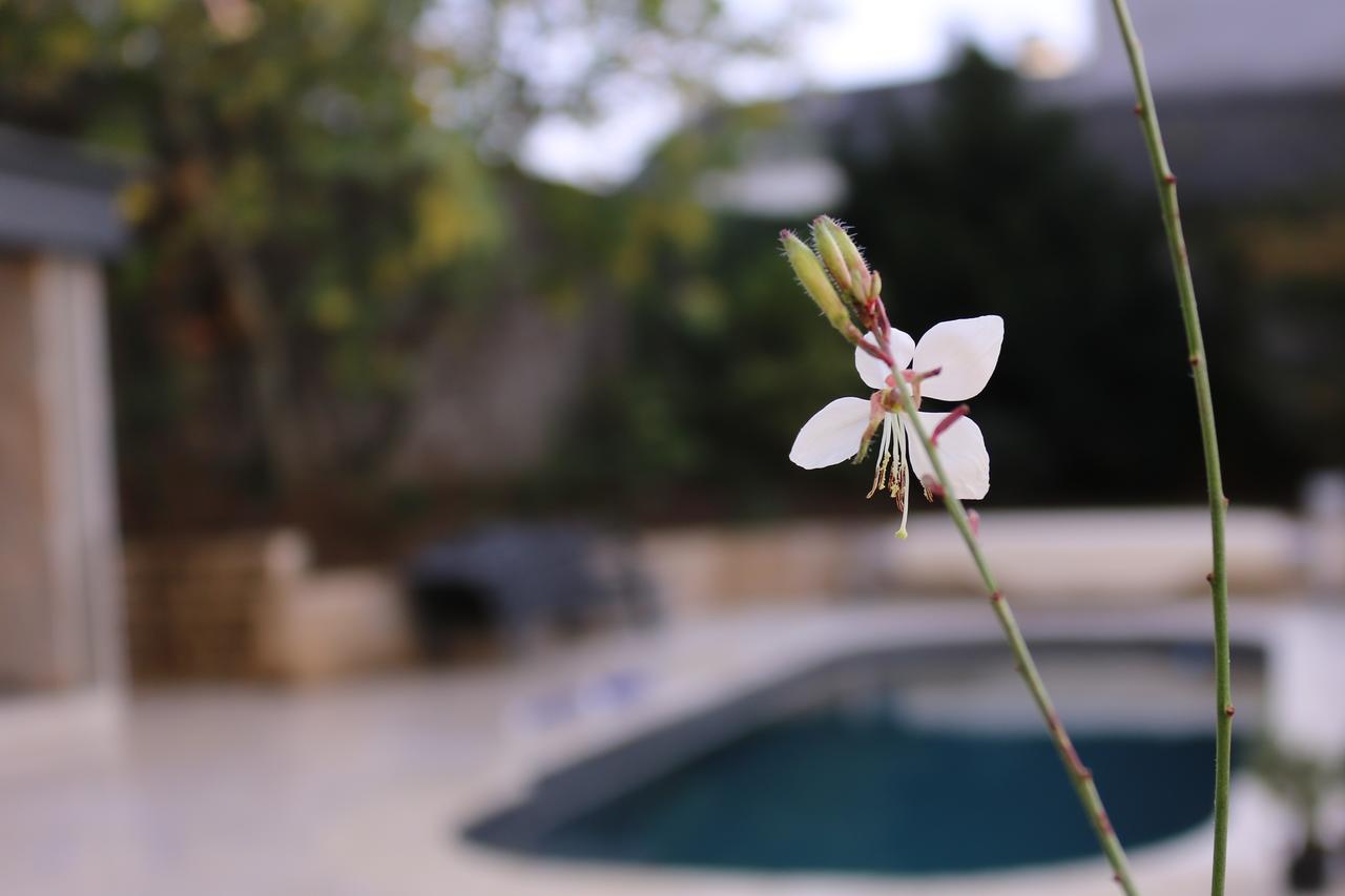 Maison De La Garenne & Spa Βαν Εξωτερικό φωτογραφία